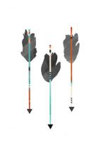 Feathered Arrows by Pistols