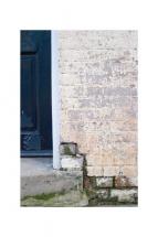 Walled by Rachel Buchholz