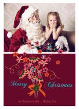Santa loves flowers by Anupama Srivastava