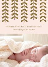 Modern Mistletoe by Emily Ranneby
