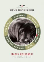 Santa's Behavior Check by chocomocacino