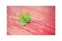 As Luck Would Have It by Allison Richardson