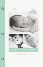Sweet Dreams by Bonjour Berry
