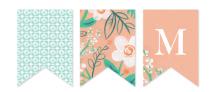 Matthiola by Moglea