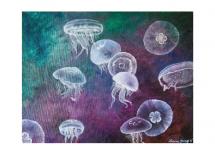 Aurelia Jellyfish by Dana Fong