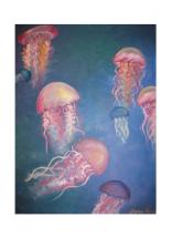 Pacific Sea Nettle Jell... by Dana Fong