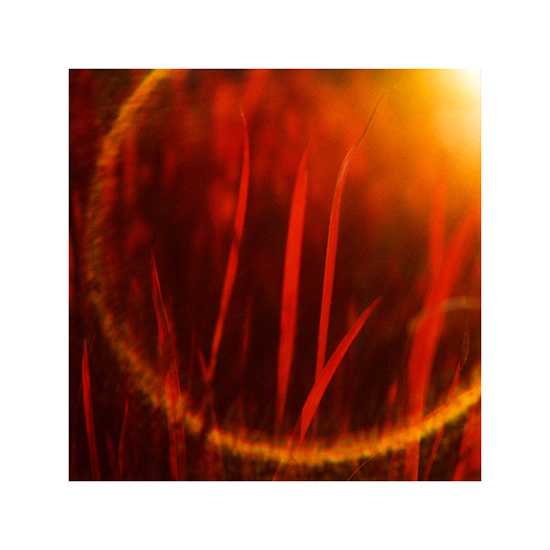 art prints - Fire Light by Coco Paperie