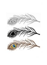 3 feathers by Heather Myers