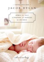 Classic Storybook by Stacey Meacham