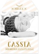 Chic Debut by Melanie Severin