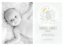 Night Owl by robin ott design