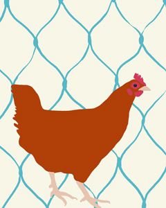 art prints - Rhode Island Red by Jorey Hurley