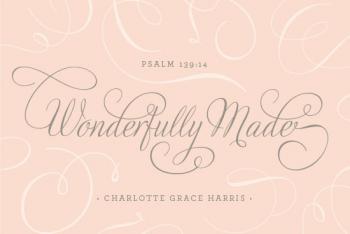 Wonderfully Made