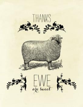 Ewe Are Sweet