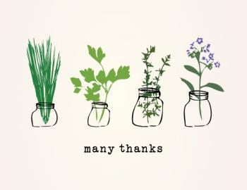 Thank you, herbs.