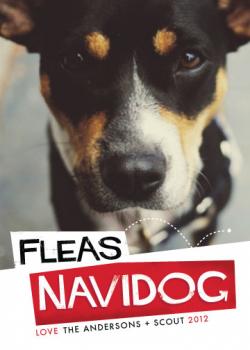 Fleas Navidog