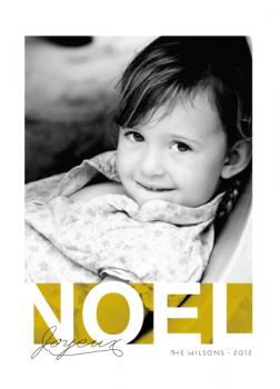 Bold Noel